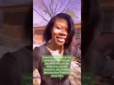 INVEST IN REAL ESTATE ON THE BLOCKCHAIN WITH NFTs‼️ BDRE has Tokens for You & Your Properties‼️