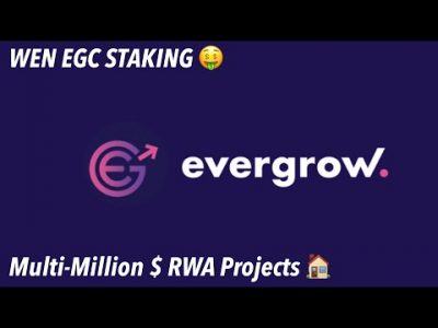 Passive Income Altcoin CEO Shares Staking Status & Multimillion RWA Possibilities