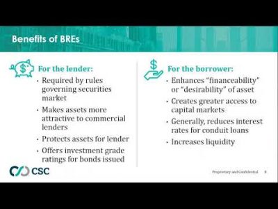 Briefly Speaking: An Introduction to Bankruptcy Remote Entities (BREs)