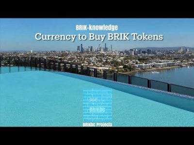 BRIKknowledge 2 – Currency to buy your BRIK Tokens