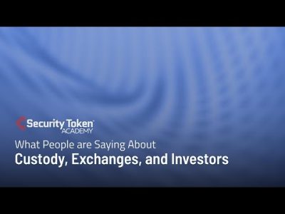 Custody, Exchanges, and Investors in the Security Token Industry