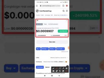 how to buy Swap Corgidoge real estate payment (CORGI)