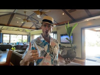 HOW TO MAKE MILLIONS IN BLOCKCHAIN REAL ESTATE BEFORE EVERYONE ELSE!