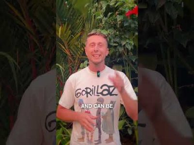 Investing In Tokenized Real Estate #realestatetokenization #realestatecrypto #tokenizedrealestate