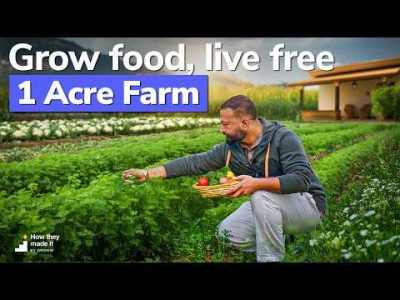 Is This the Perfect Life? ₹5 Lakhs/Month, No Stress