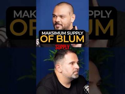 Maksimum Supply of Blum Tokens?
