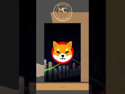 Shiba Inu Coin CRAZY METAVERSE Project!! | Shiba enterd metaverse! #shorts
