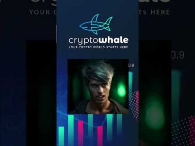 bitcoin accumulation despite market value