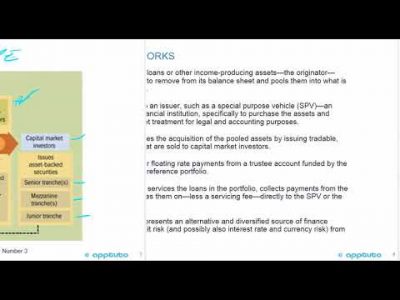 describe securitization, including the parties involved in the process and the roles they play;