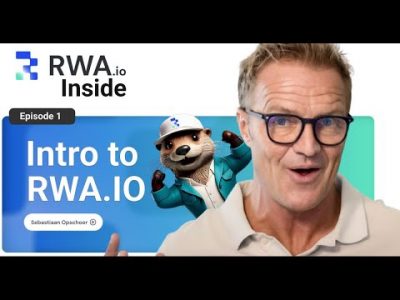 RWA Inside – Episode 1 | Intro to Public Project Profiles