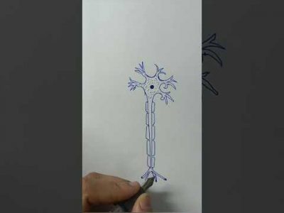 Swastik Samridh Education#khansir#Gyanbindu#Biharnews#Bhojpurisong#lalantop#bollywoodsong#pw #RWA