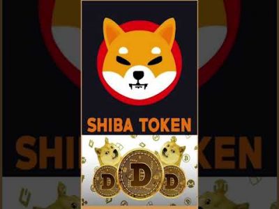 Which one is better, Shiba inu or Dogecoin? #shorts