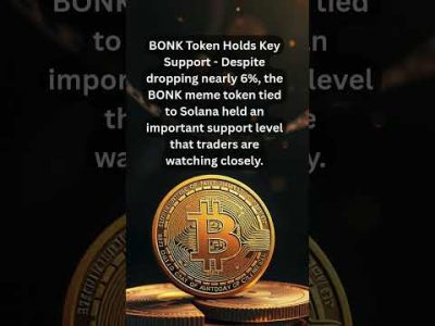 BONK Token Holds Key Support